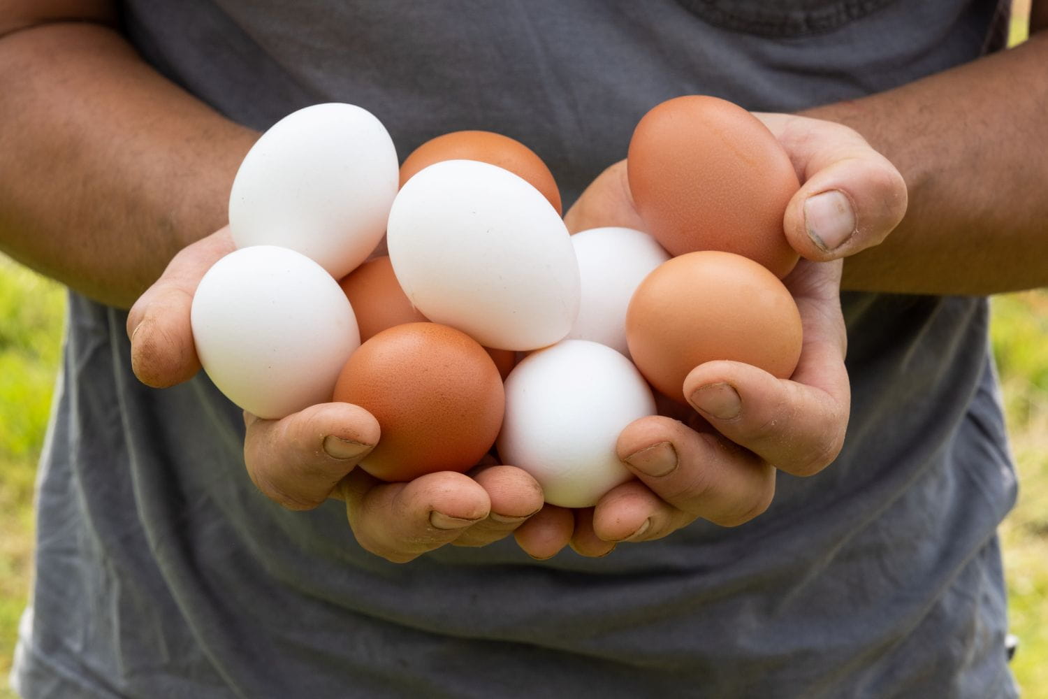 A man holding an assortment of hen eggs