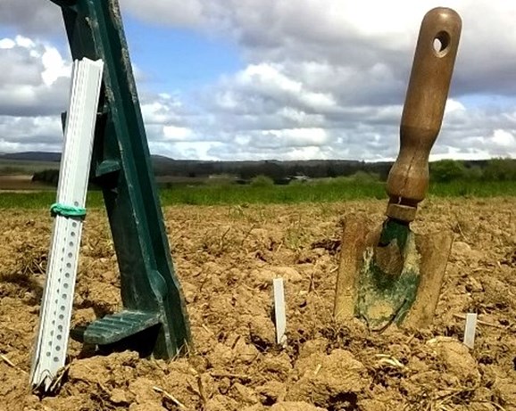 soil measure using a bait stick