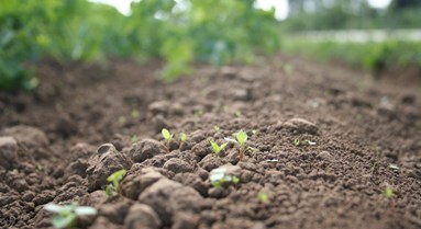 Congratulations Soil Farmers of the Year!