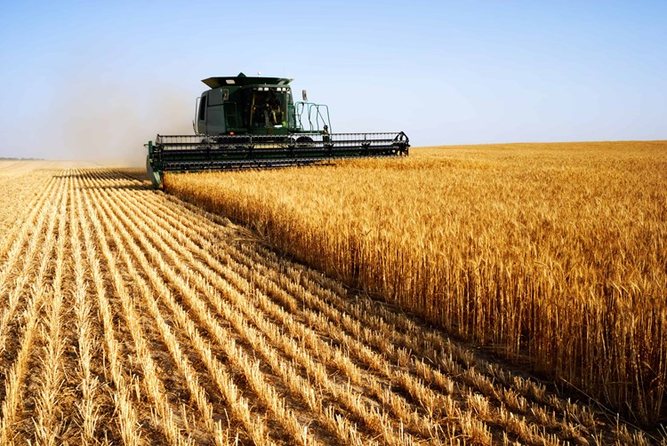 tractor in a field