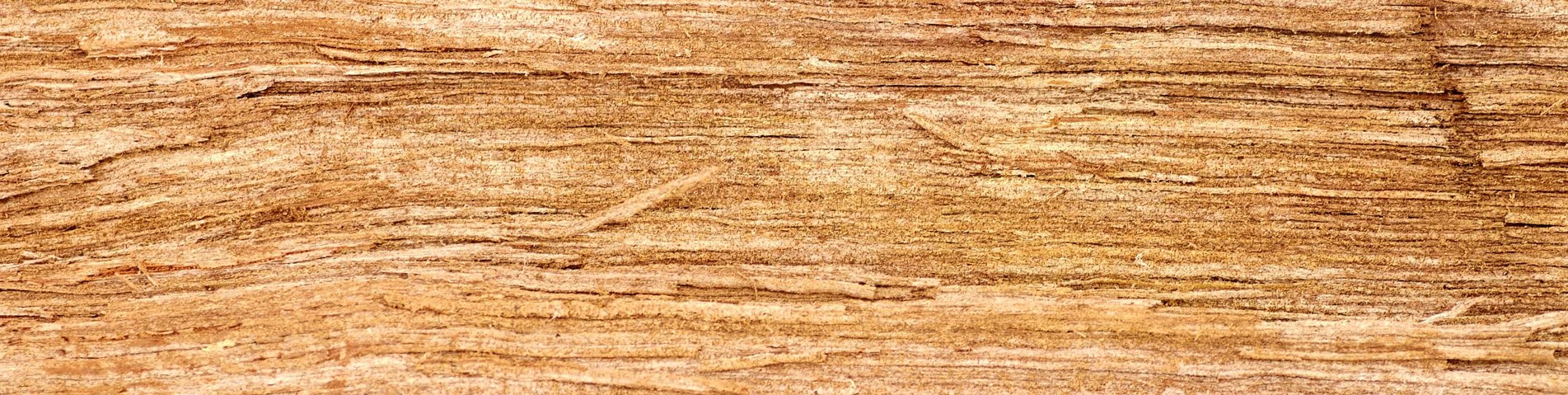 rough wood.jpg