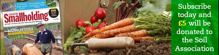 Country Smallholding magazine