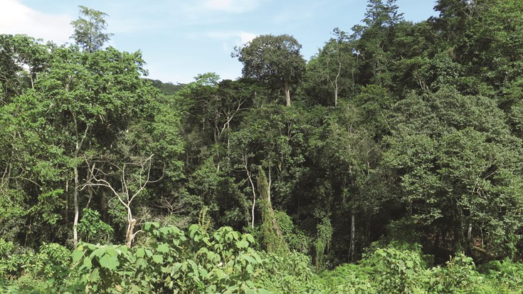 SENCATA