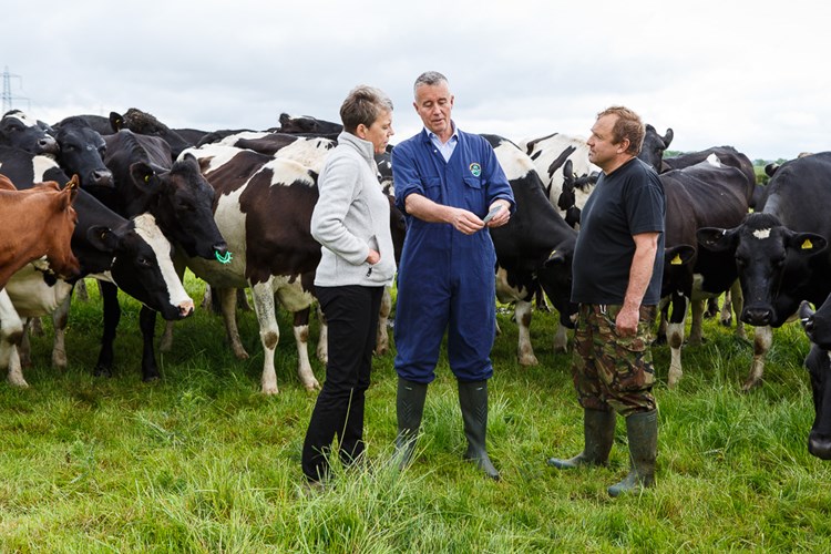 It's important that we support organic and non-organic farmers during and after Brexit