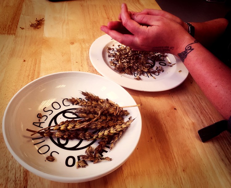 sorting wheat from the chaff