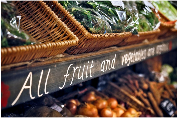 organic food market