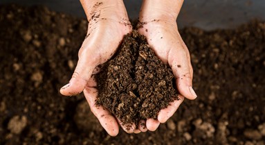 Save Our Soil