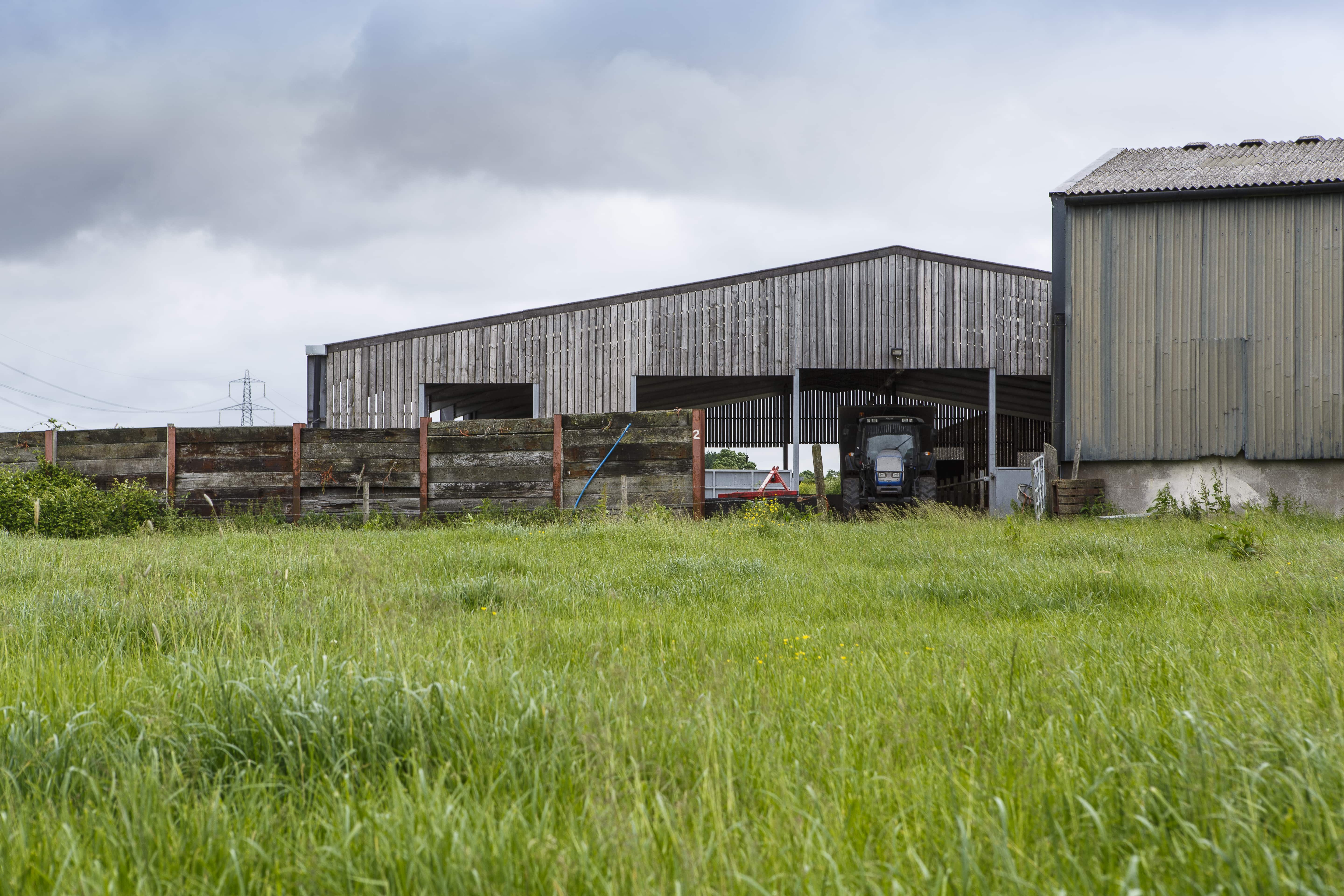Spring Cropping in a Wet Spring