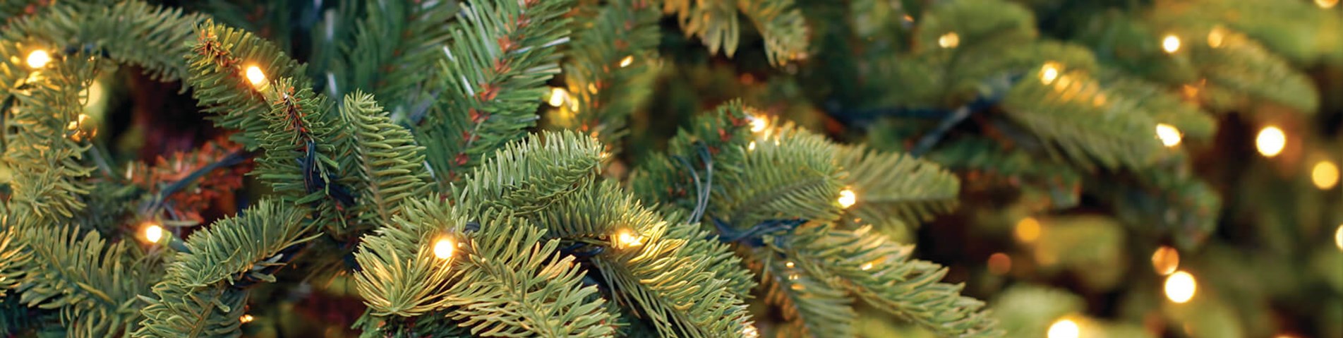 sparkleytree_cmyk.jpg