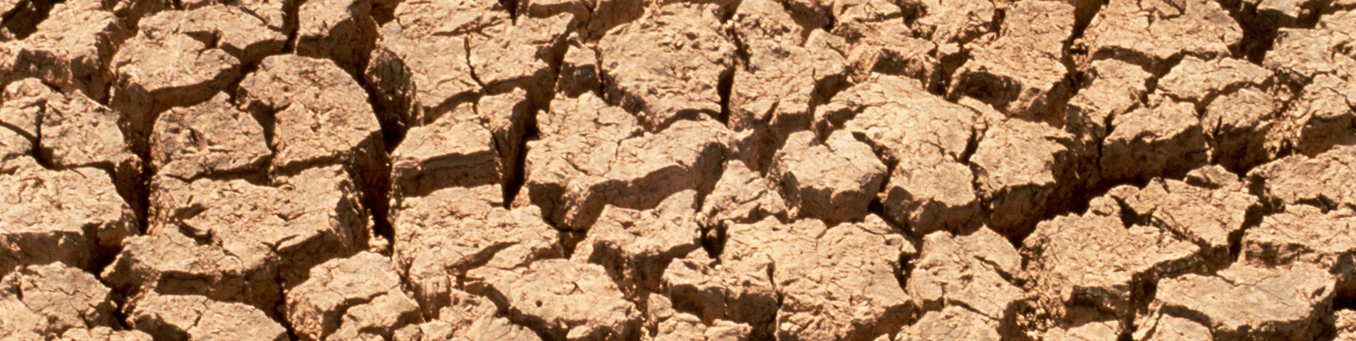 CSIRO_ScienceImage_607_Effects_of_Drought_on_the_Soil.jpg