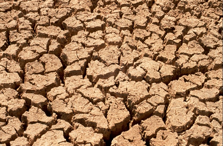 soil drought