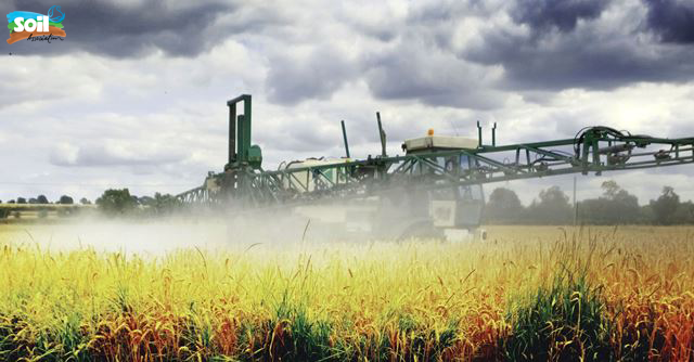 Glyphosate being sprayed onto field
