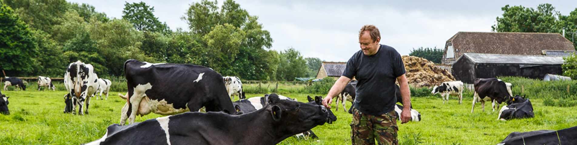 sa-pidnell-farm-100.jpg