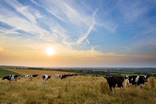 A ten year transition to agroecology