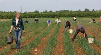 Field_21_sm.jpg.JPG