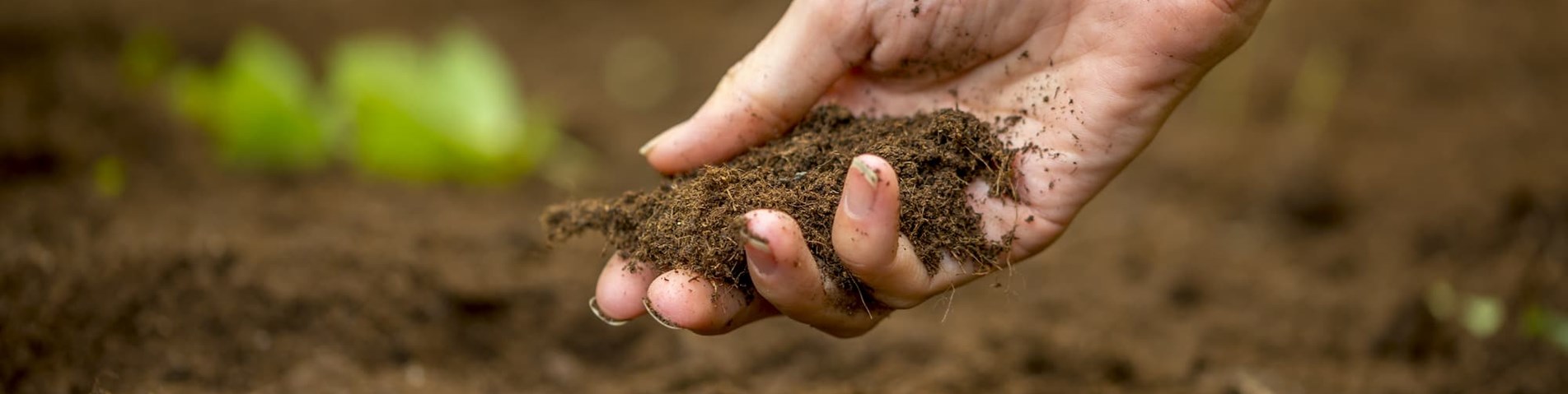 soil-in-hand