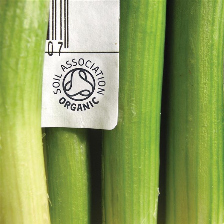 organic label on leeks