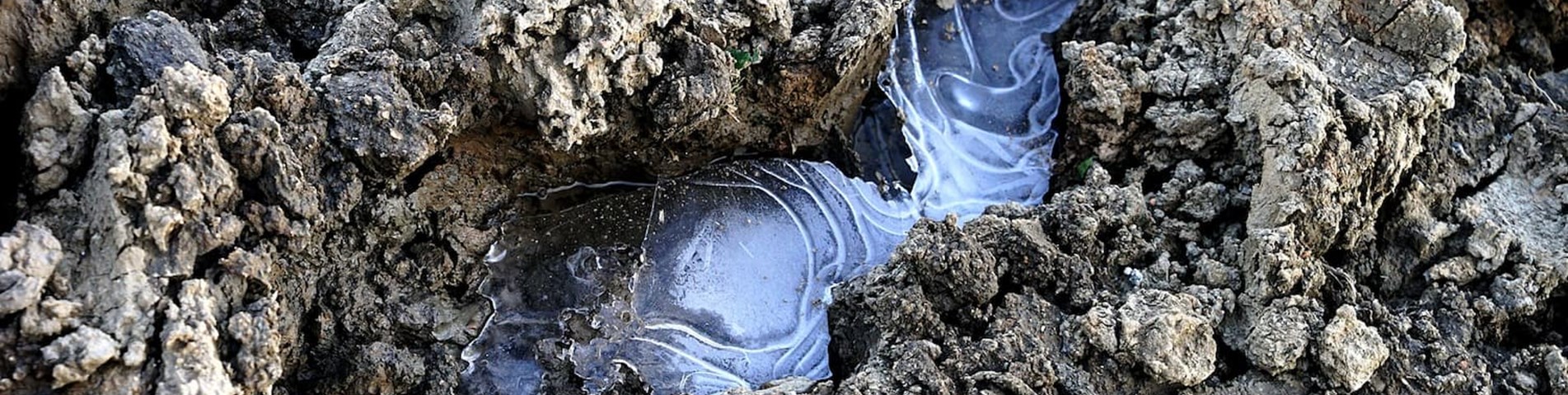 ice-1176969_1920.jpg