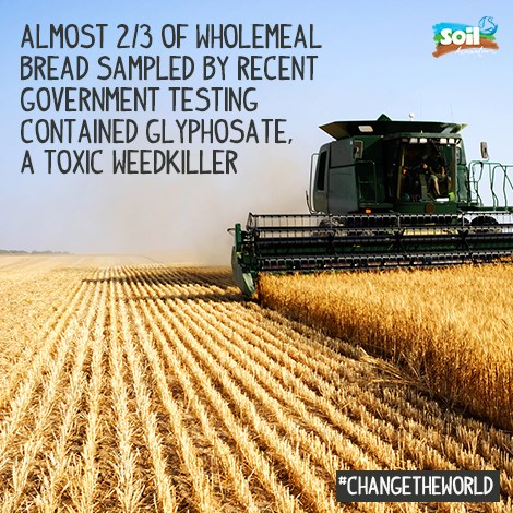 quote about pesticide usage in bread with image of combine harvester