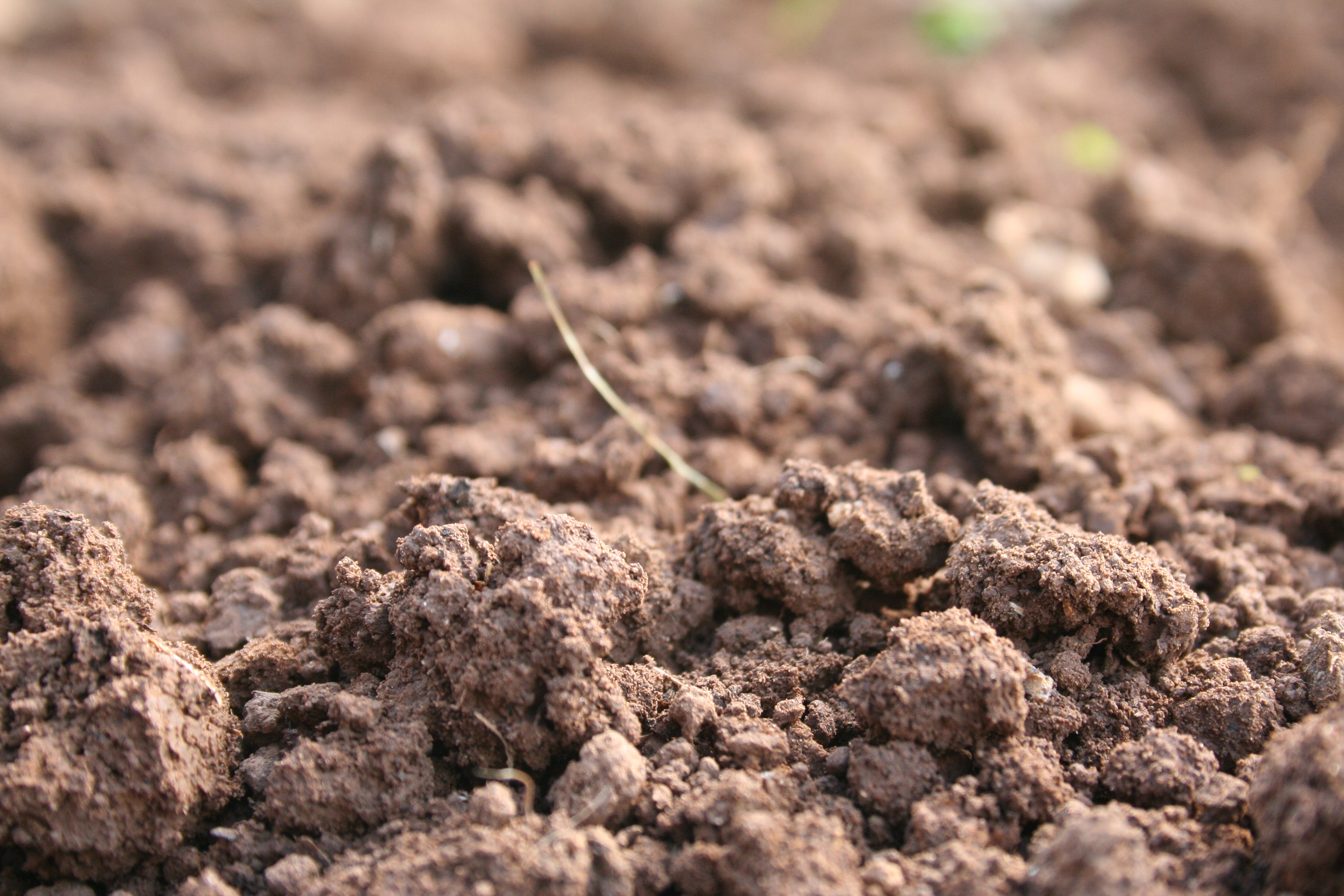 Digging the Dirt on Lower Smite Farm
