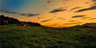 England's first-ever Land Use Framework must prioritise nature-friendly farming