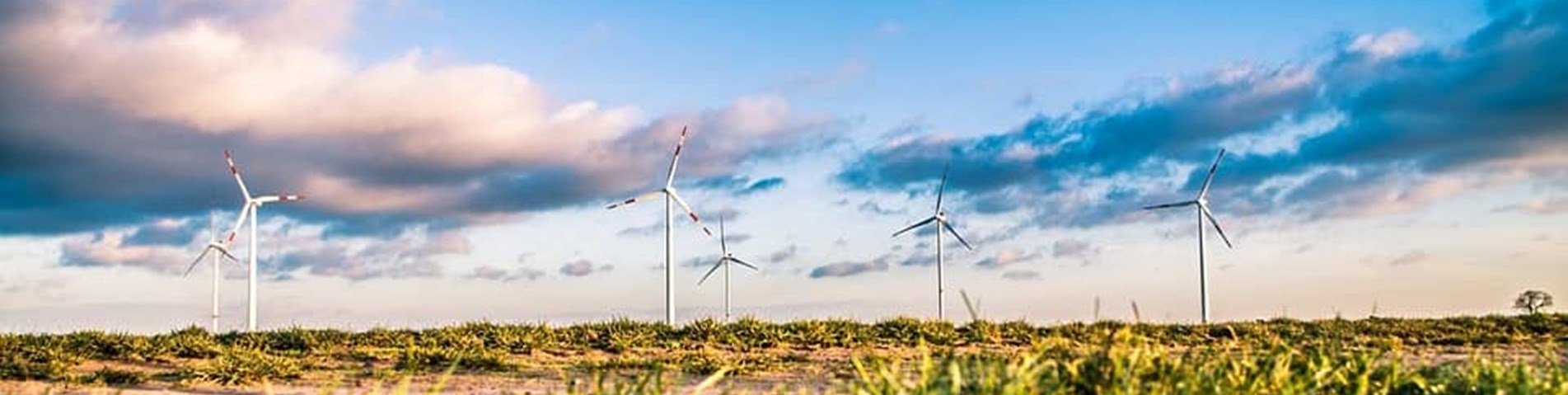 wind-farm-1209335_960_720.jpg