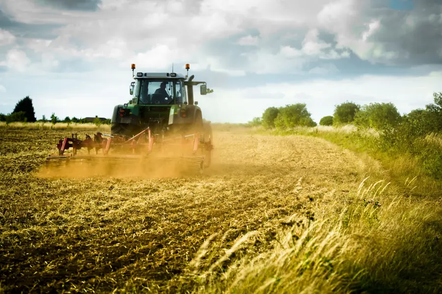 A plough creates a browny-orange cloud as it is pulled through a field of wheat. 