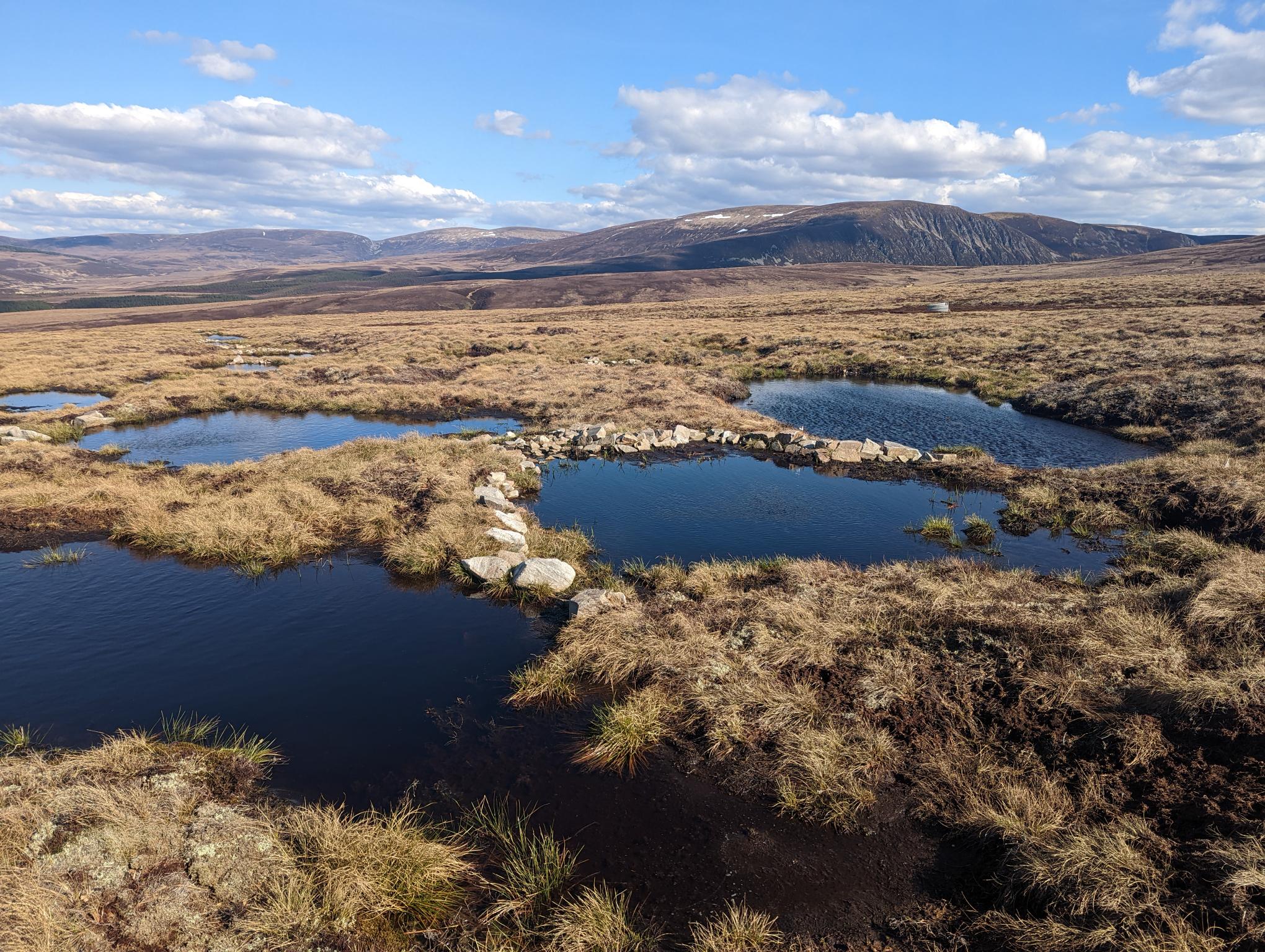 A rugged heath with rocks and pools of dark water