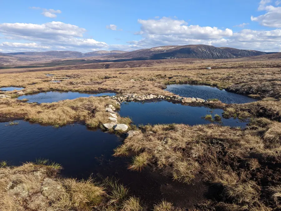 A rugged heath with rocks and pools of dark water