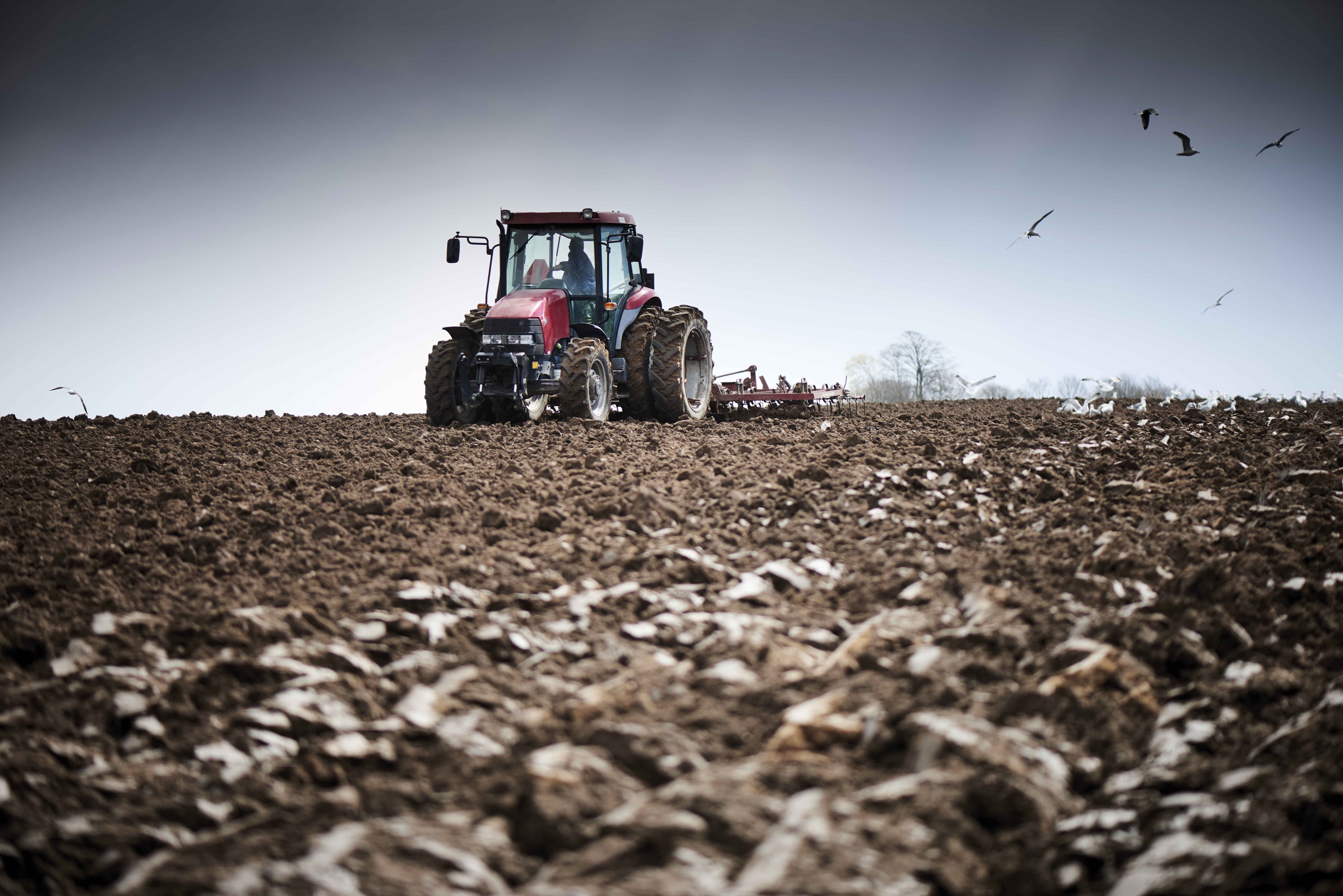 Tractor pulling plough through churned up muddy field. 