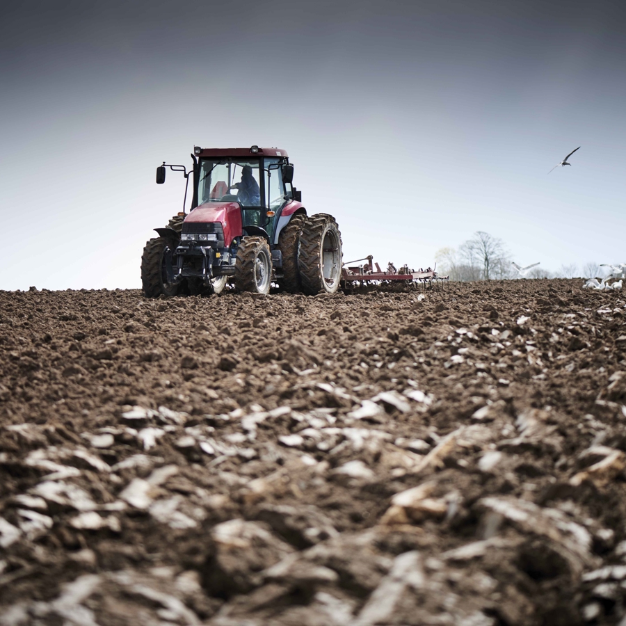 Tractor pulling plough through churned up muddy field. 