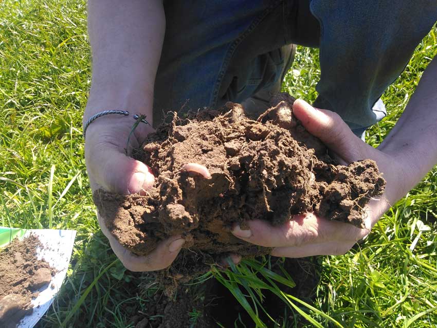 richard-shropshire-soil-hands_england
