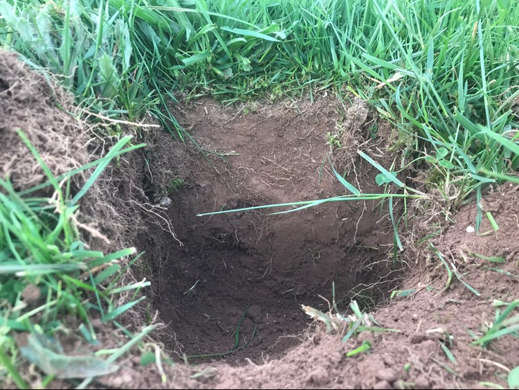 Close up of soil at Peelham Farm
