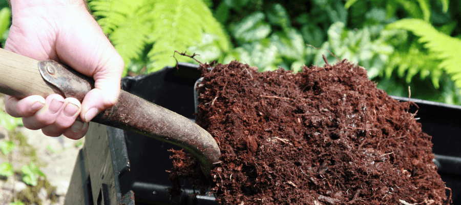 10 soil facts