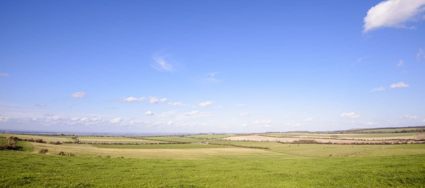 Large wide fields under a blue sky