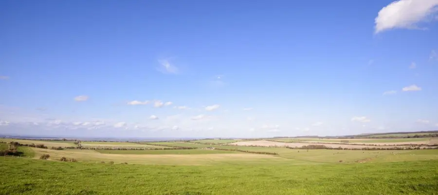 Large wide fields under a blue sky