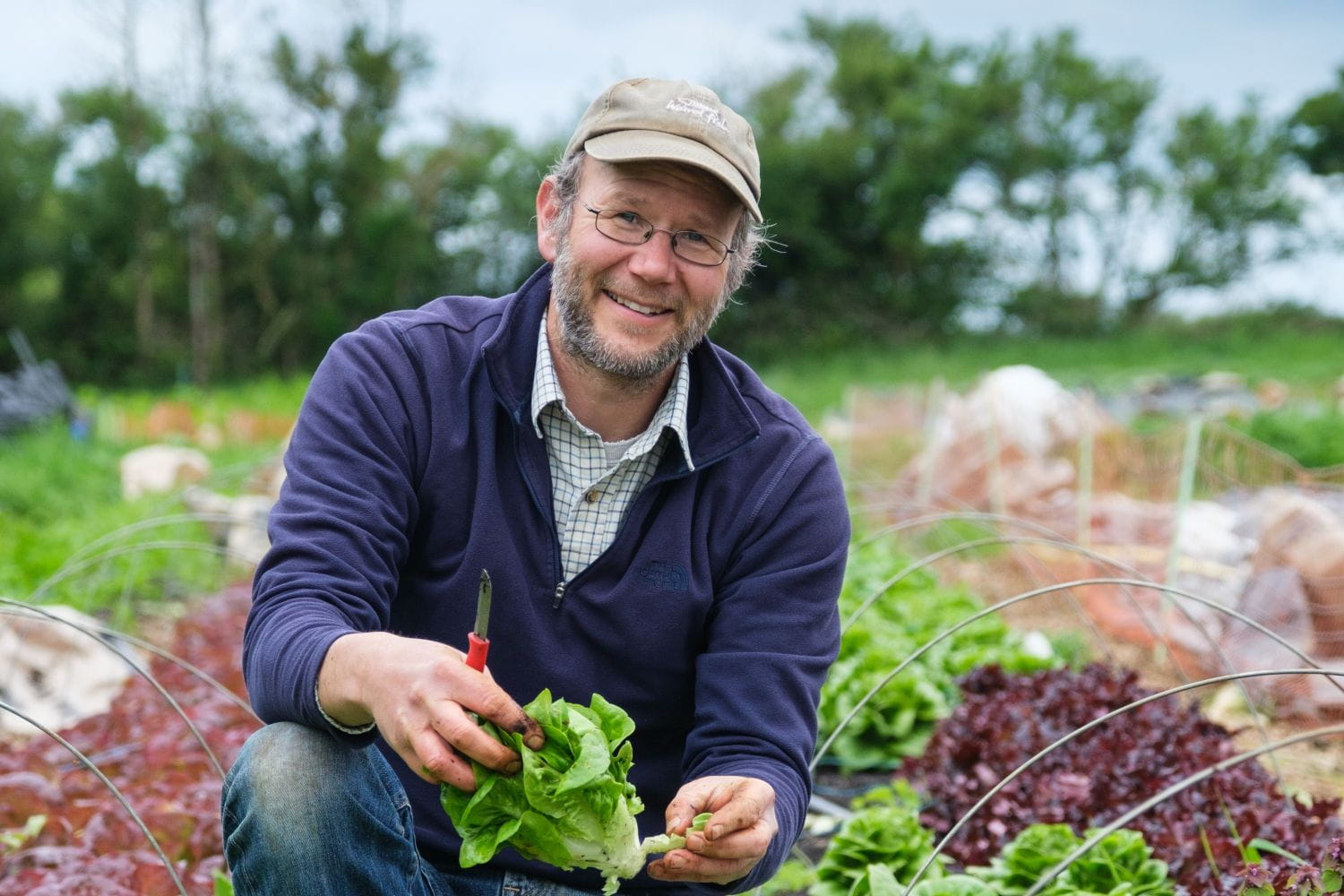 A smiling man kneels next to a crop of lettuces