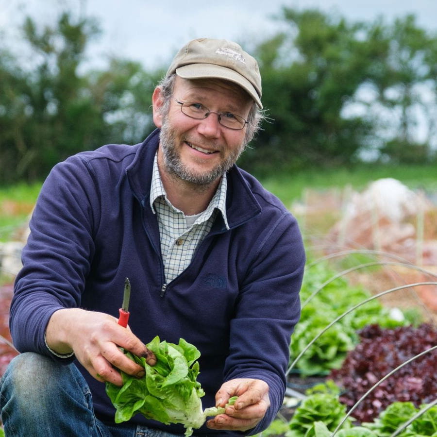 A smiling man kneels next to a crop of lettuces