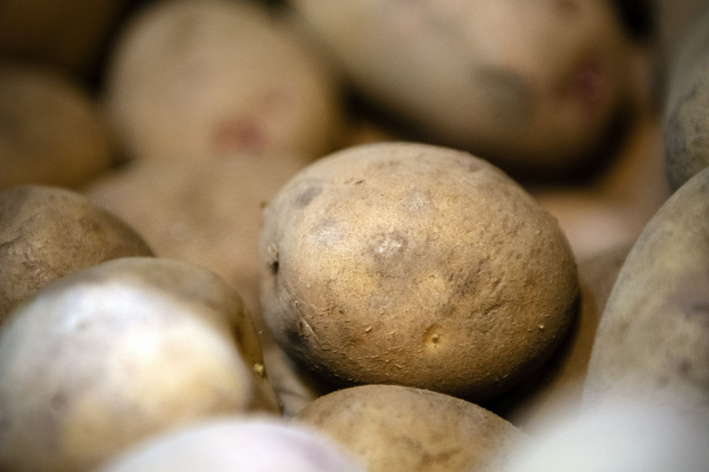 Stored potatoes