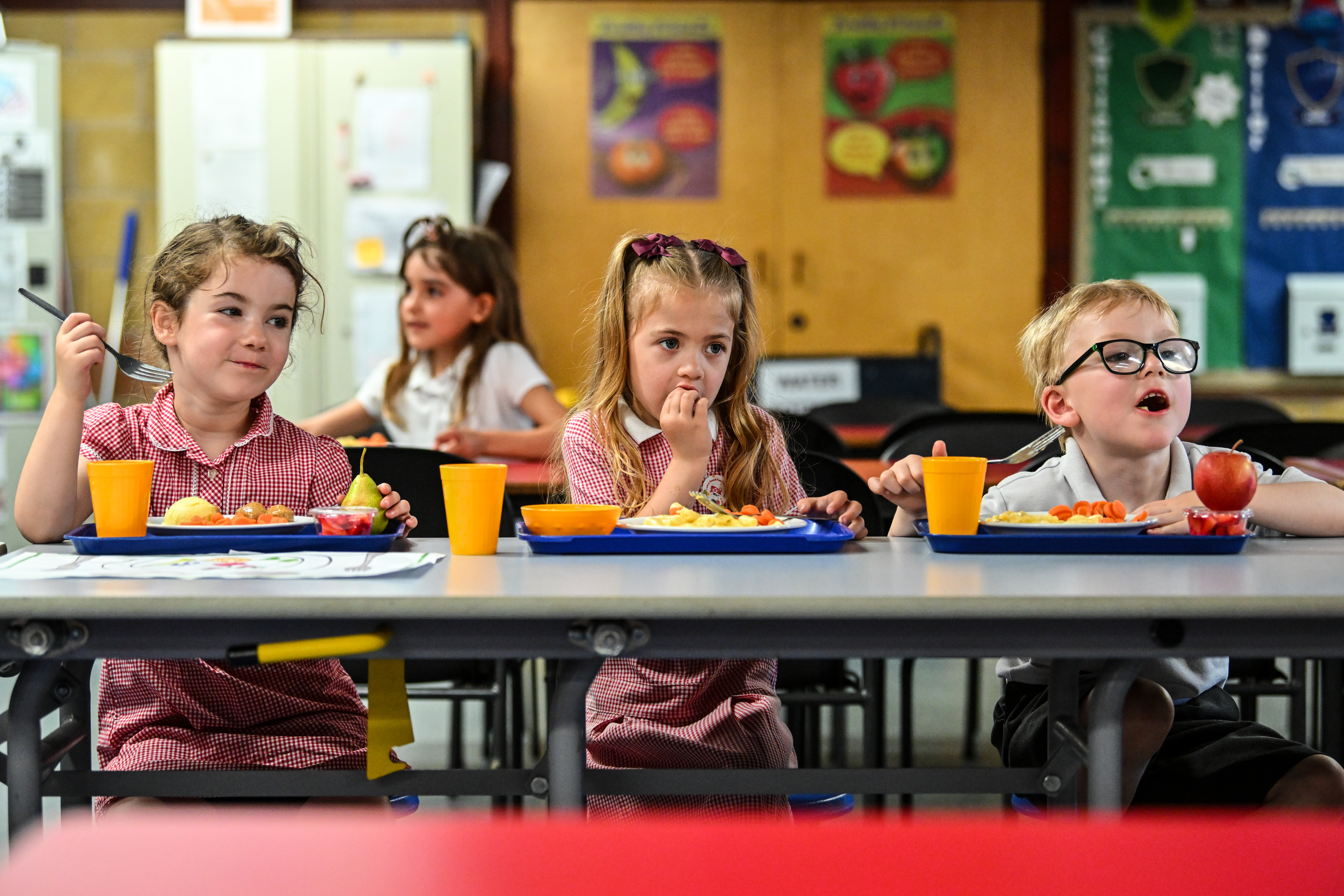 Primary 1 pupils in Falkirk enjoy a school meal of macaroni cheese and carrots