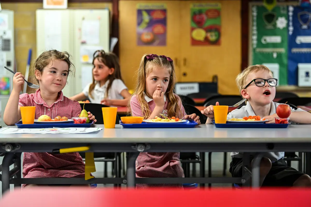 Primary 1 pupils in Falkirk enjoy a school meal of macaroni cheese and carrots
