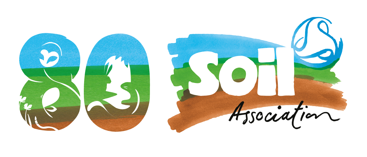 80th logo