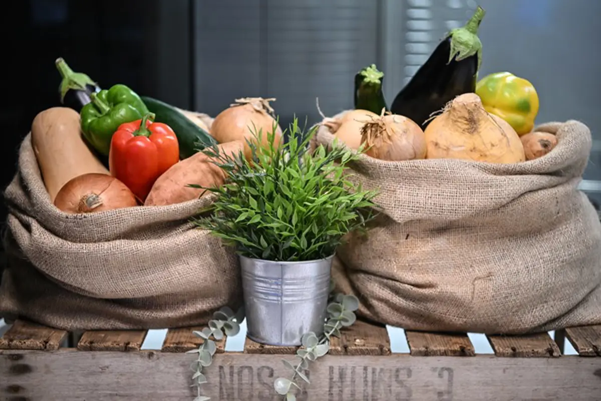 Sacks of vegetables and a pot of herbs