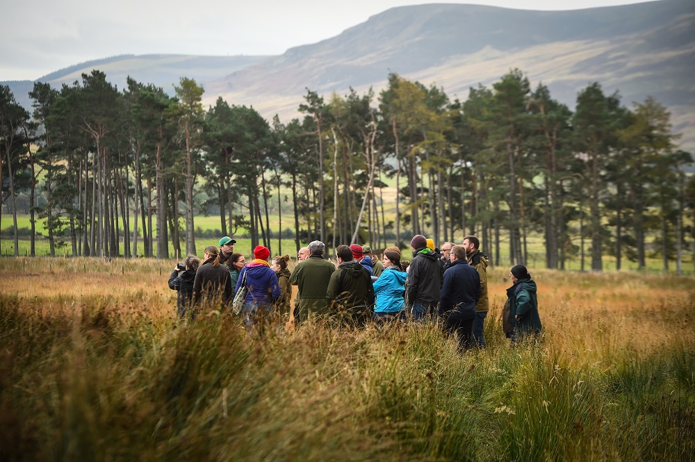 rottal-land-group-near-trees_scotland