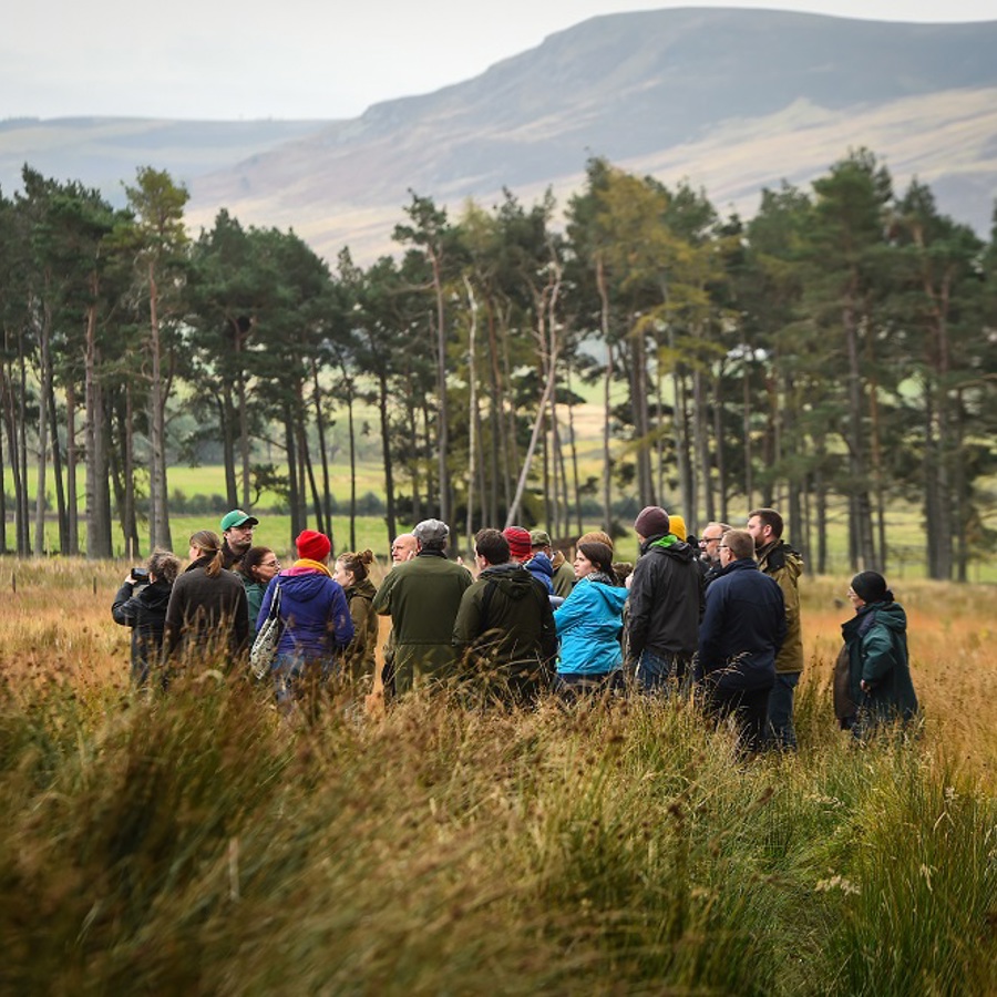 rottal-land-group-near-trees_scotland