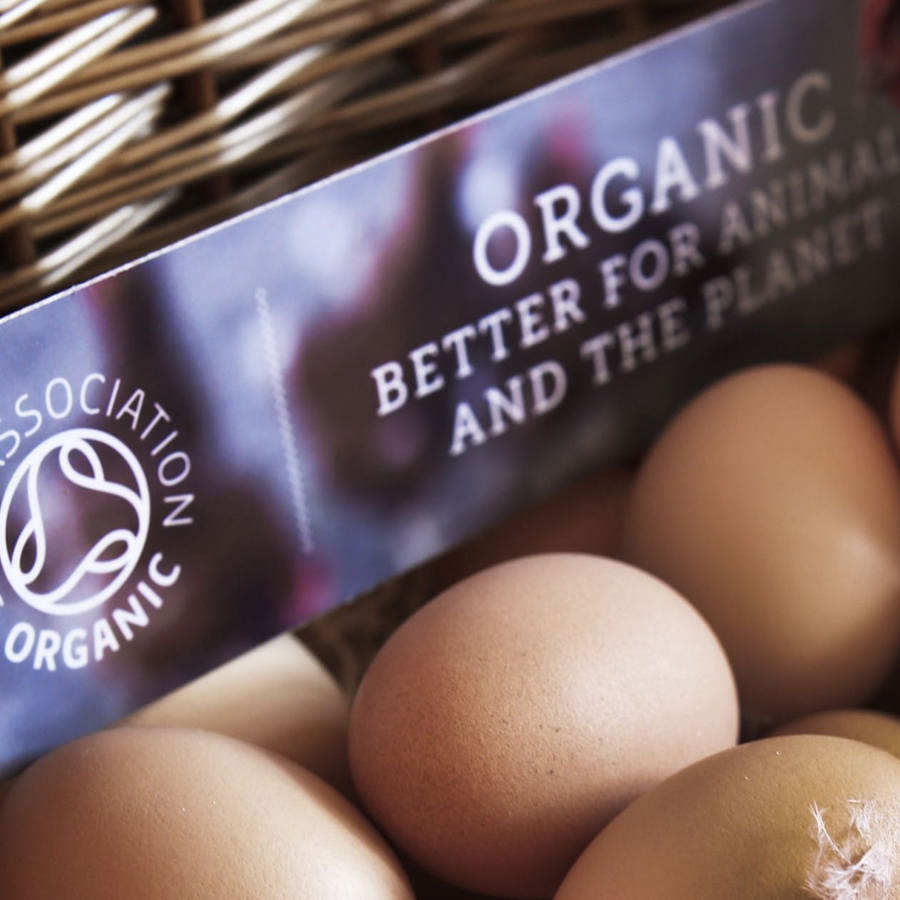 eggs_signage_content_organic_25.04.15.jpg