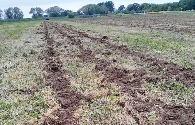 Three long muddy lines stretch through a grassy field, where the surface has been tilled. 