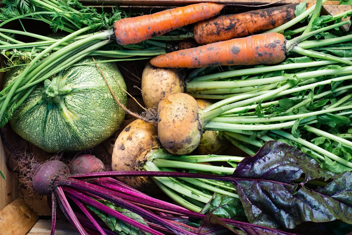 A selection of fresh uncooked vegetables