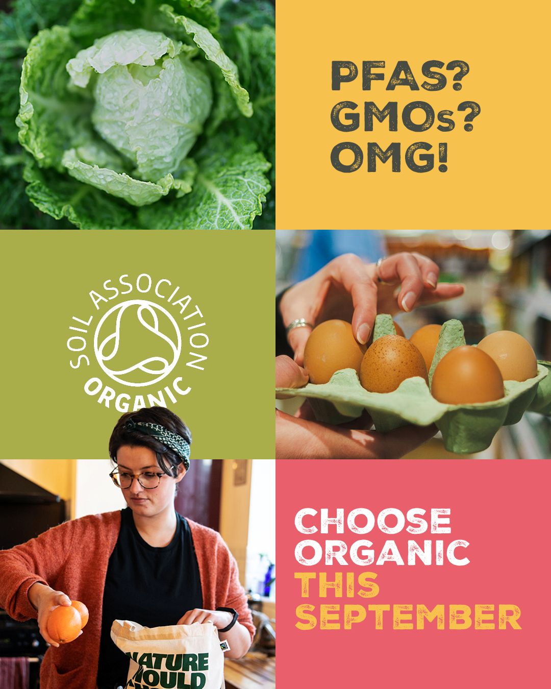 pfas_gmos_omg_asset_grid_content_29.07.26.jpg