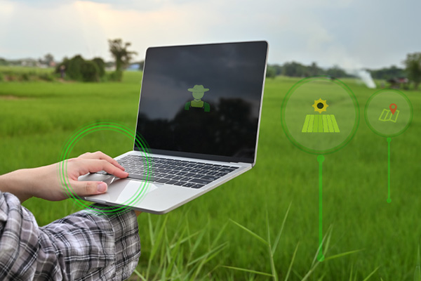 laptop-graphics-field